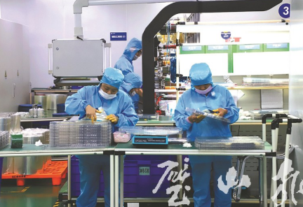 重庆璧山：专业代办员“上门教”“全程办” 为67家企业提供代办服务球友会(图1)