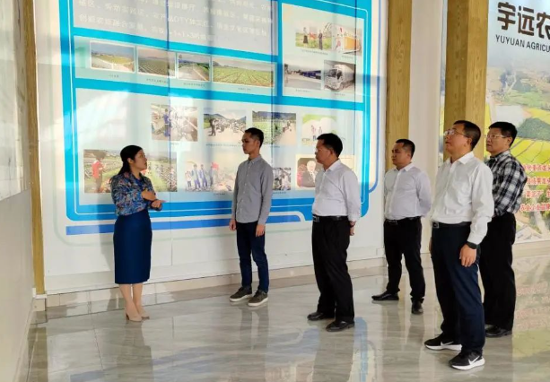 广西蒙山县市场监管局帮扶企业申报高端品质认证见成效(图1)