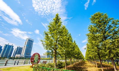 洛阳专利申请创全省最快纪录球友会(图1)