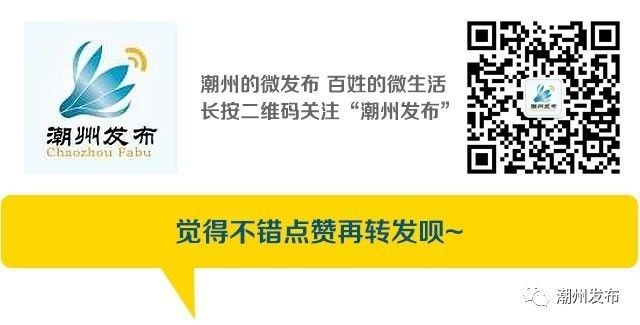 市政务服务中心全面启动全流程代办服务(图5)