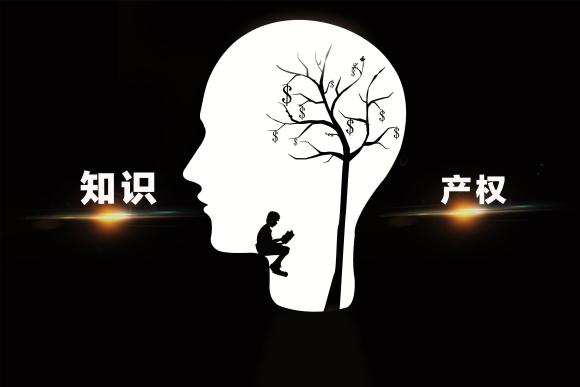 专利权包括哪些内容专球友会利权怎么行使