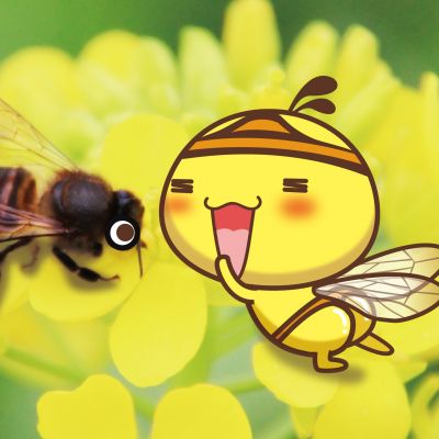 什么是能源管理体系认证证书？(图2)
