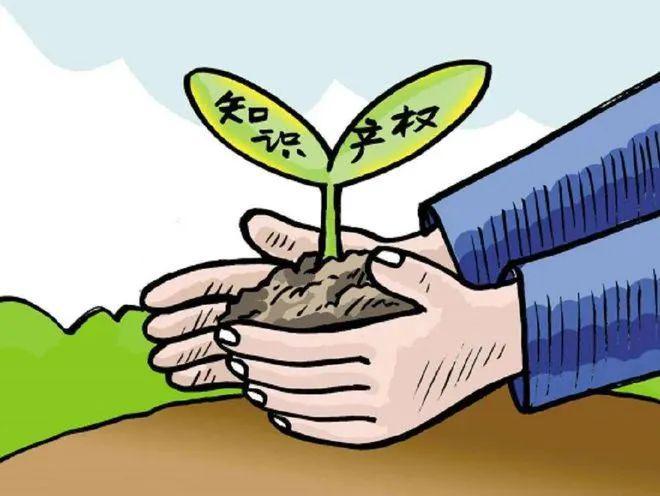 世界知识产权日丨看看这些侵权行为你踩雷了吗？(图2)