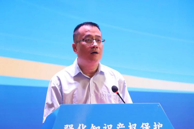 知识产权保护实务论坛在西咸新区成功举办(图3)