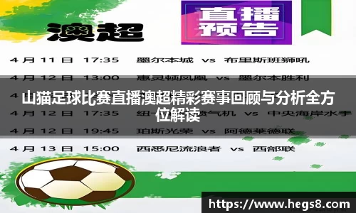 山猫足球比赛直播澳超精彩赛事回顾与分析全方位解读